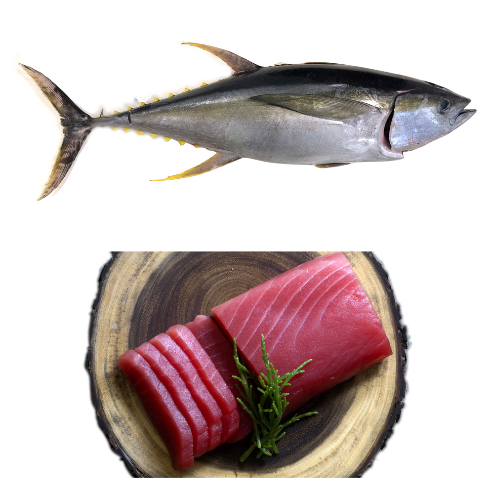 YellowFin-Tuna-Frozen-v3.jpg