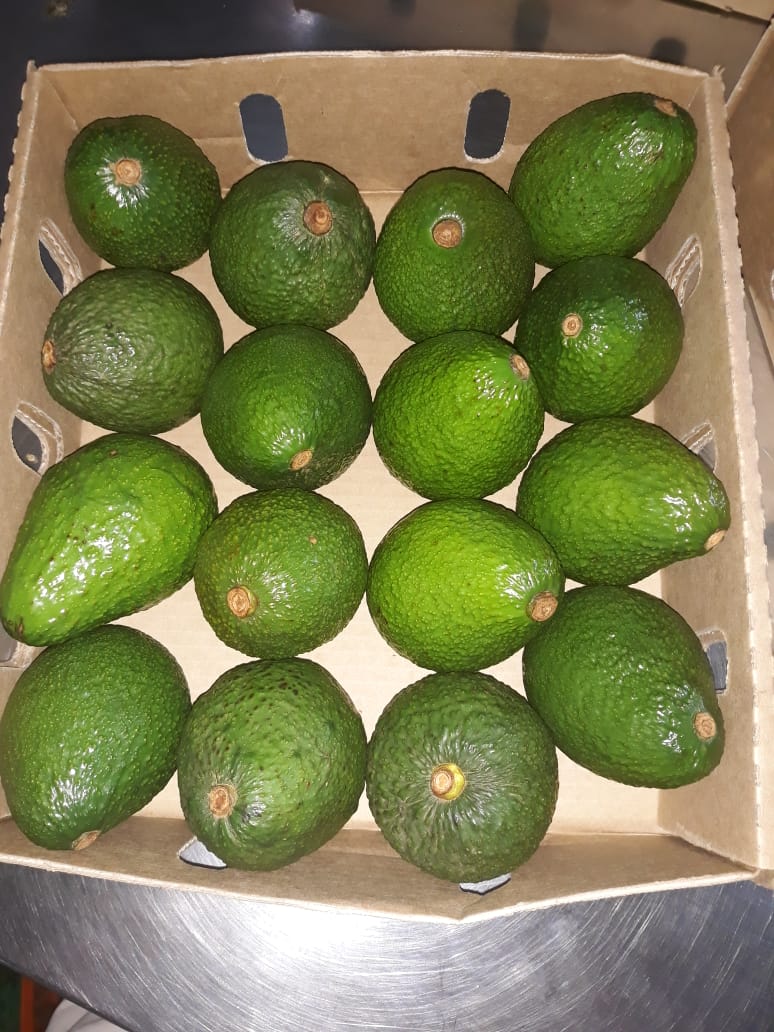 WhatsApp Image 2019-09-11 at 14.26.58.jpeg