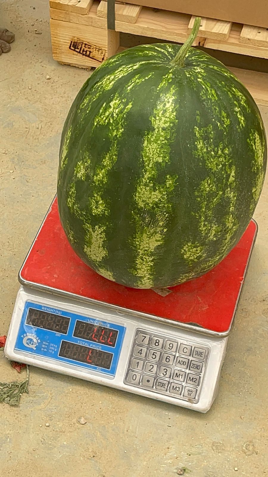 1000070668.jpg