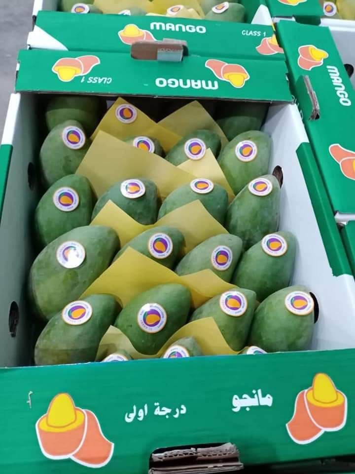 WhatsApp Image 2023-07-06 at 2.07.17 PM.jpeg