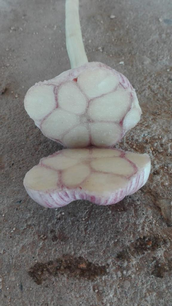 WhatsApp Image 2022-05-26 at 12.12.52 PM.jpeg