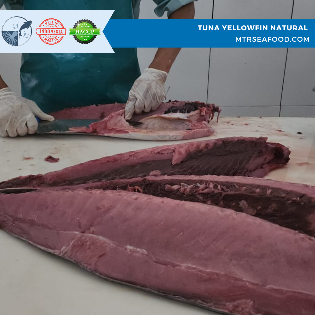 TUNA LOIN CO VACCUM IQF - MTRSEAFOOD.COM.png