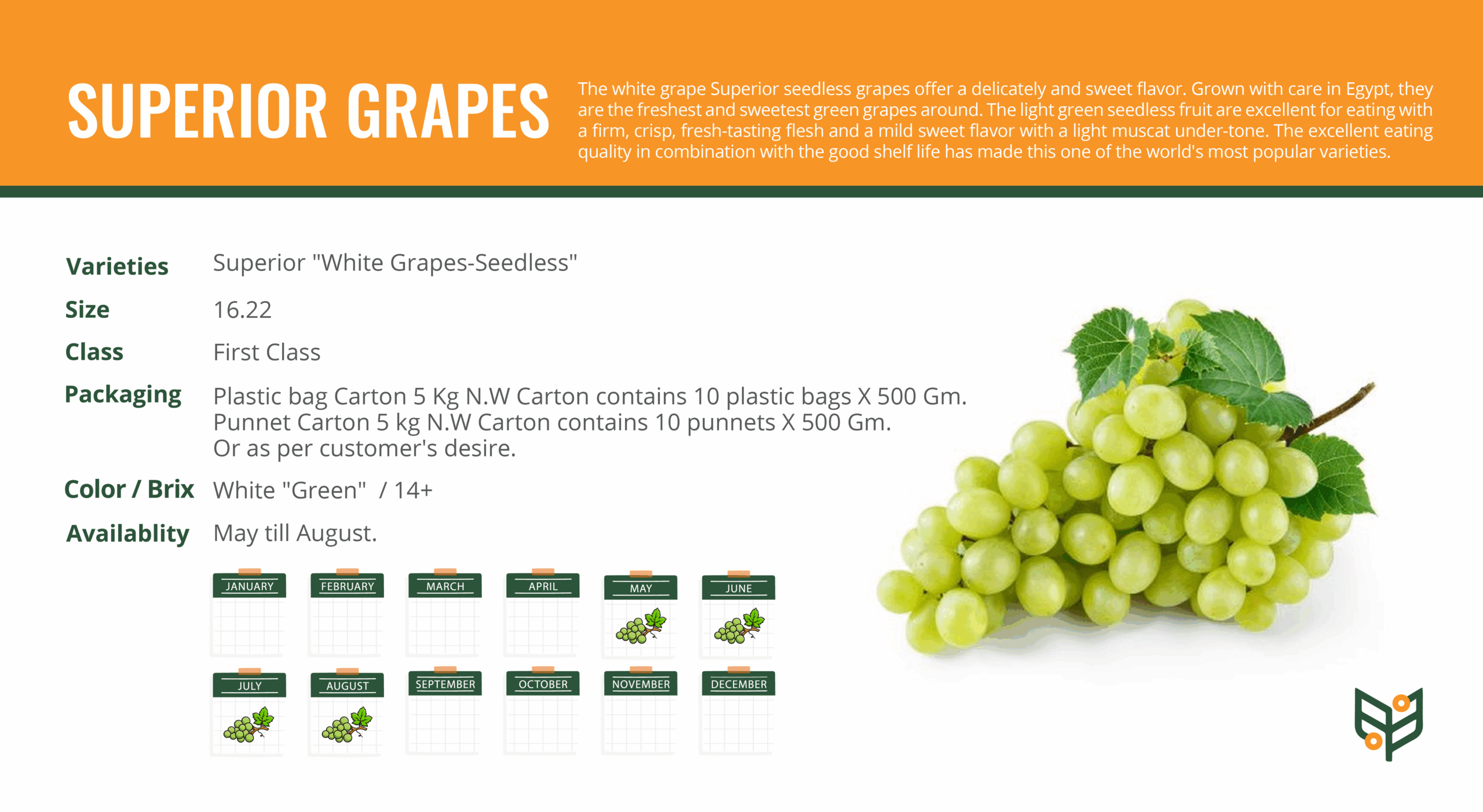 SUPERIOR-GRAPES-scaled.png