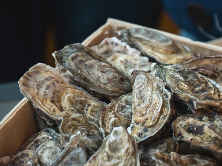 bigstock-Oysters-On-The-Counter-In-Wood-255447013-768x576.jpg