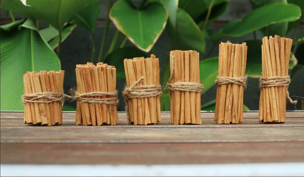 Cinnamon.JPG