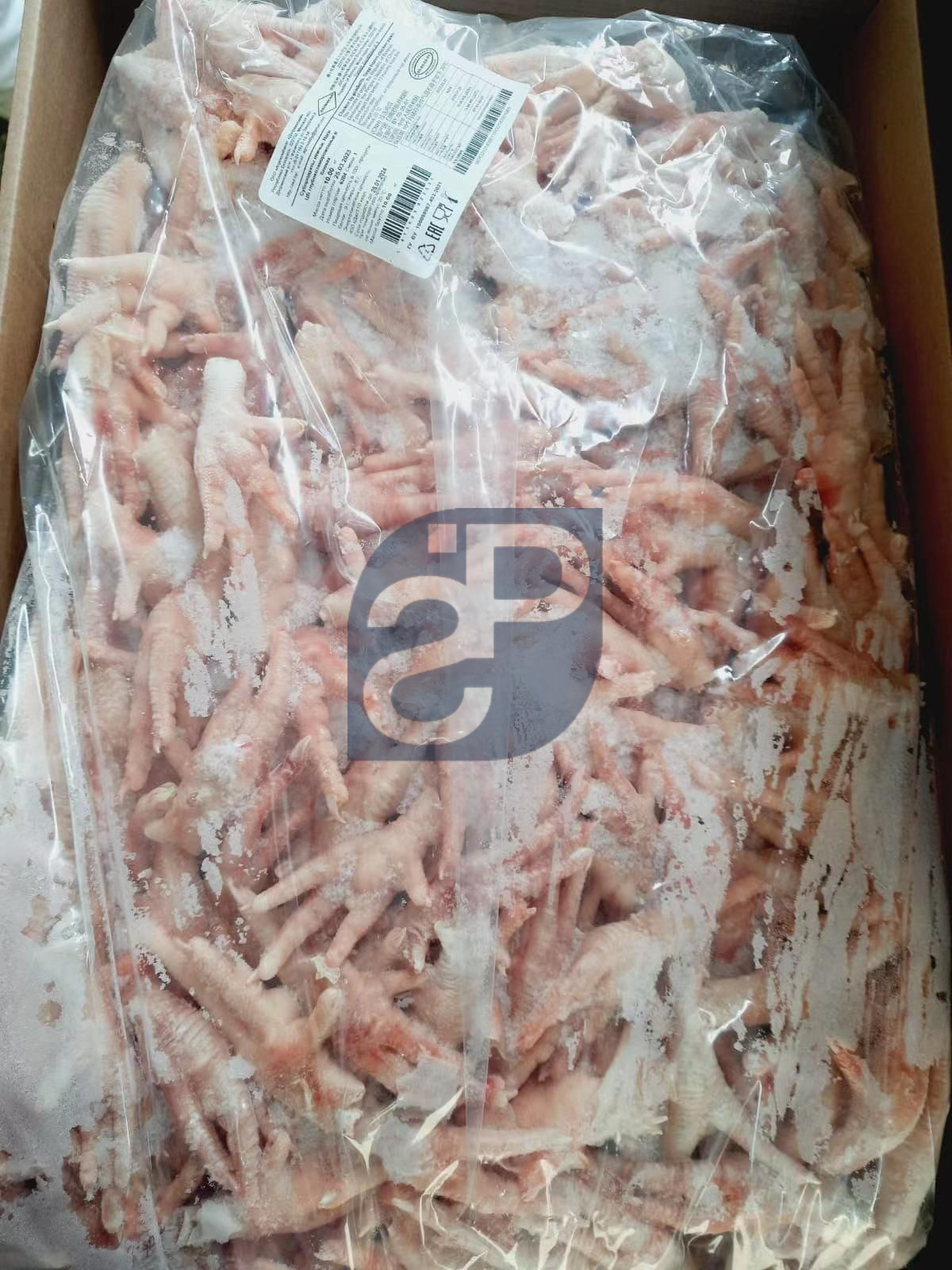 Chicken Feet - Standard & Partners #2.jpg