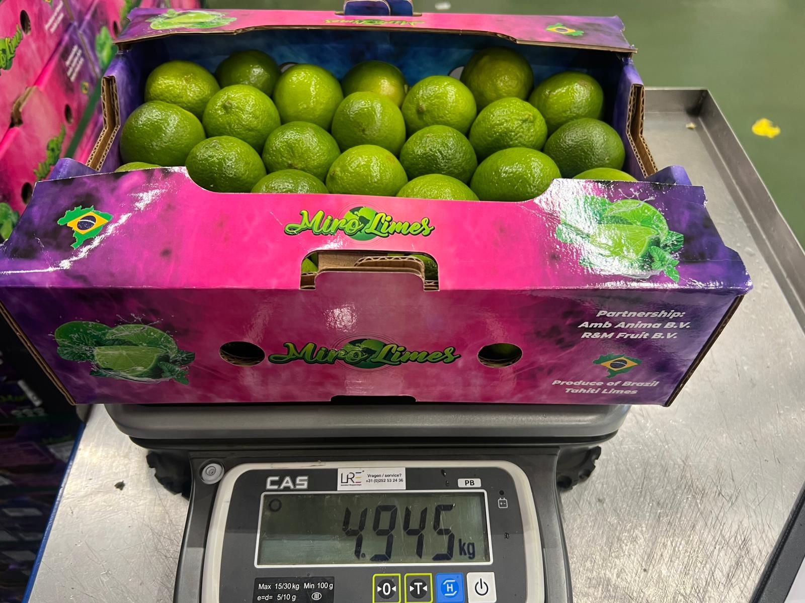 tahiti_lime_brazil#kodra-export_8.JPG
