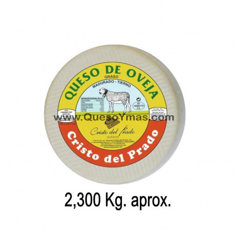 queso-tierno-de-oveja-mediano.jpg