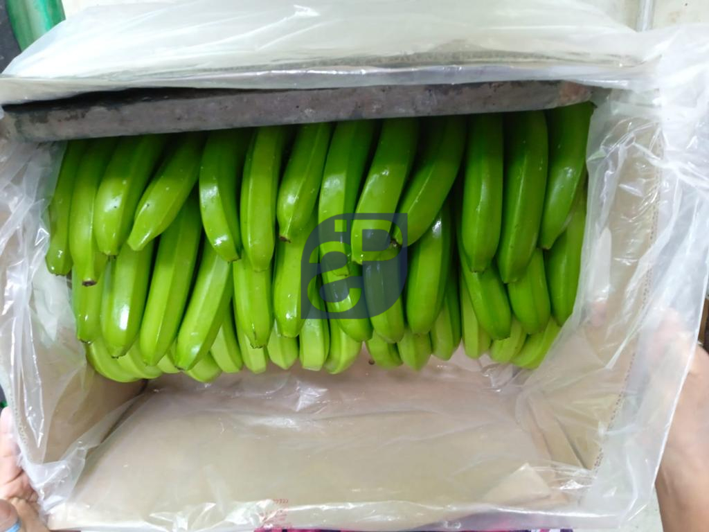 Bananas #8 - Standard & Partners.jpg