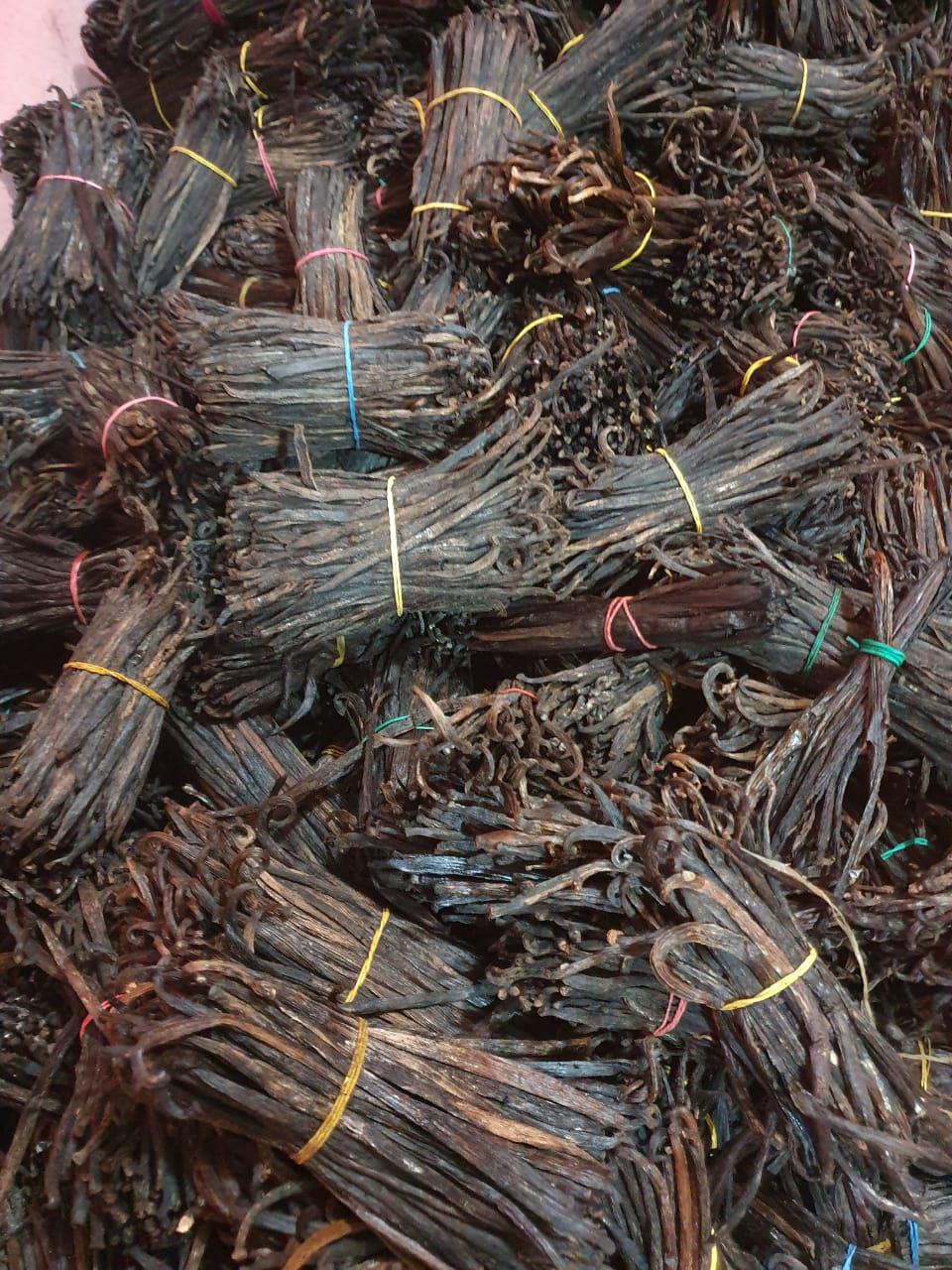 ALL GRADE 3 (MIX & CUTS).jpg