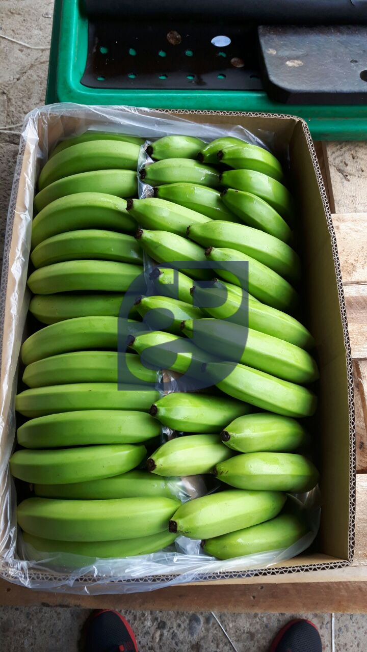Bananas #17 - Standard & Partners.jpg
