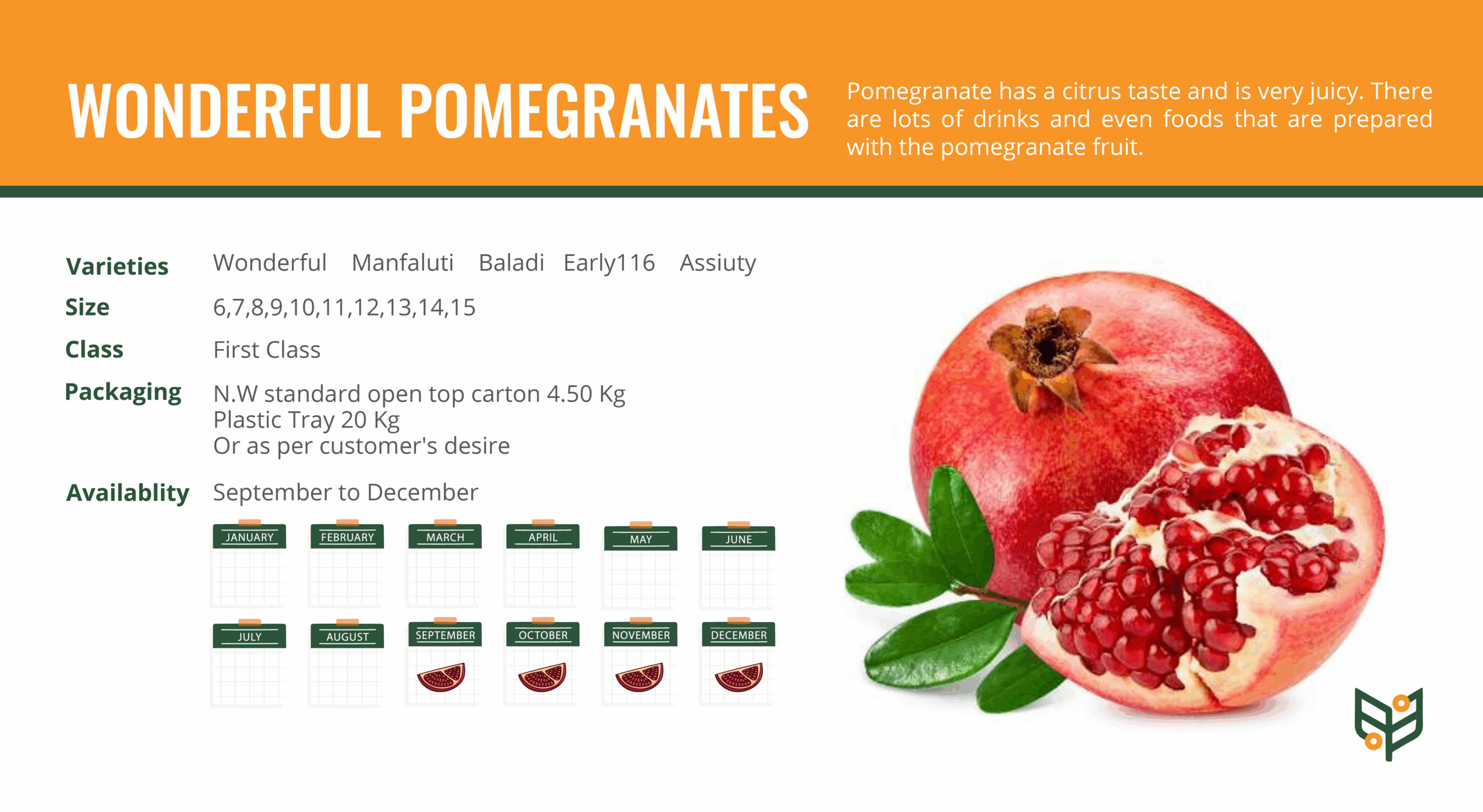 WONDERFUL-POMEGRANATES-scaled.png
