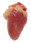 9-Chicken-Heart-103x140.png