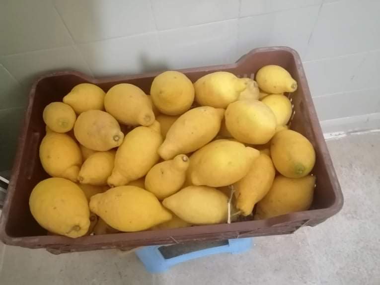 received_509445450179359.jpeg