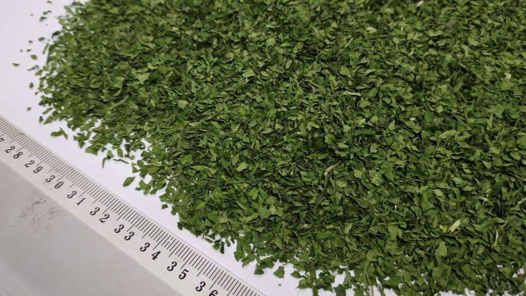 2019.09.12 PARSLEY LEAVES 2-4mm FOT.2-3.jpg