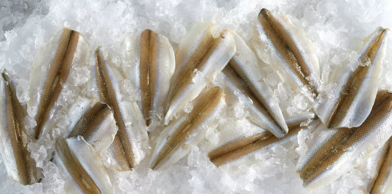 prod-smelt-fillets.webp