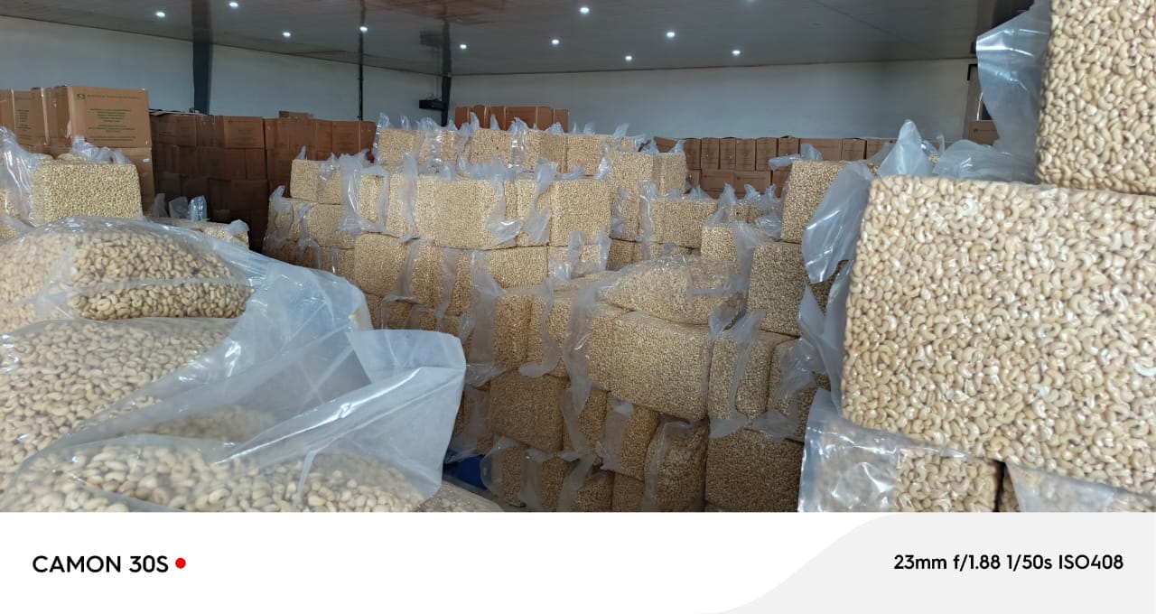 Noix_cajou_côte_ivoire_zadi#kodra-export_9.jpg