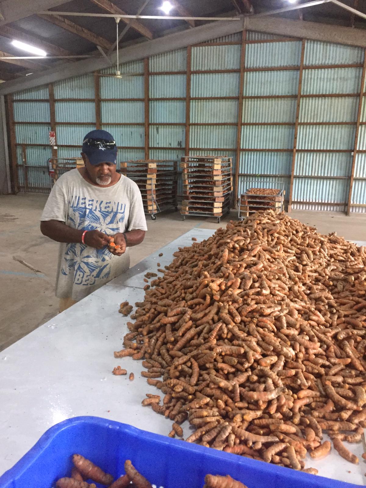 WhatsApp Image 2019-11-15 at 13.47.54.jpeg