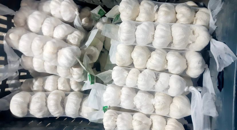 WhatsApp Image 2023-07-27 at 12.30.33 AM.jpeg