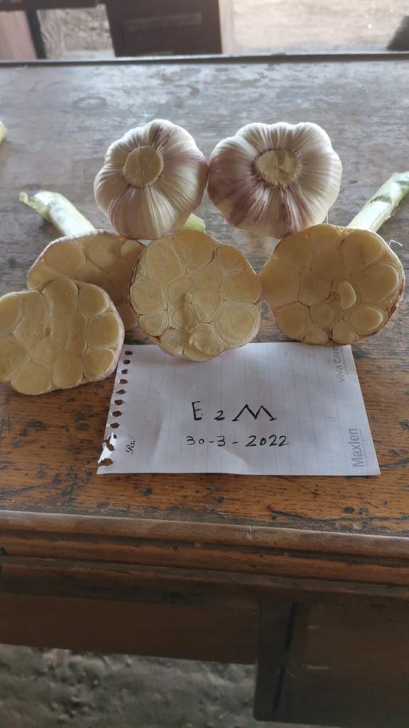 WhatsApp Image 2022-05-26 at 12.12.52 PM (7).jpeg