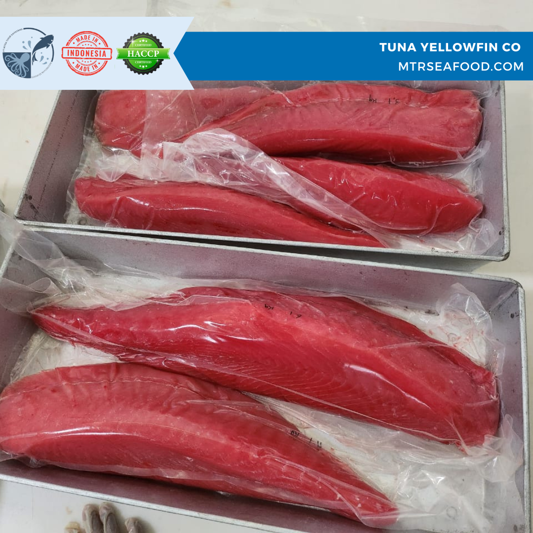 TUNA LOIN CO VACCUM IQF - MTRSEAFOOD.COM (2).png