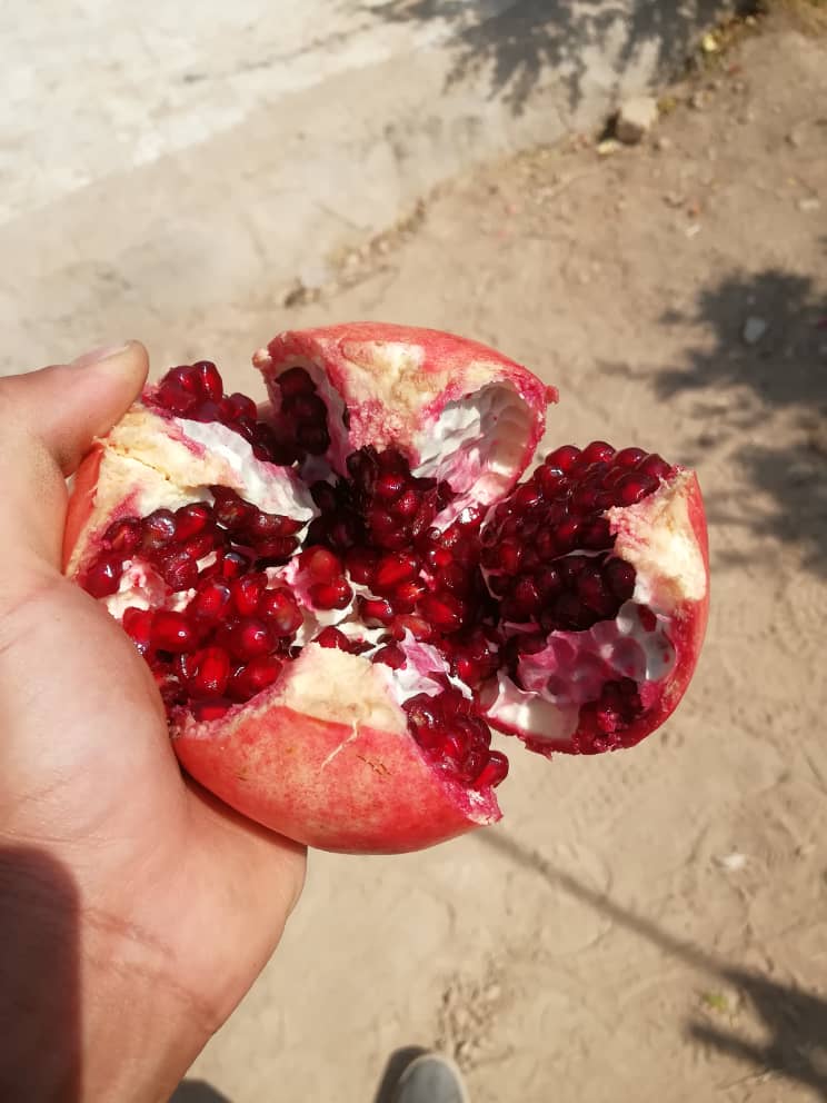 IMG-20191023-WA0037.jpg