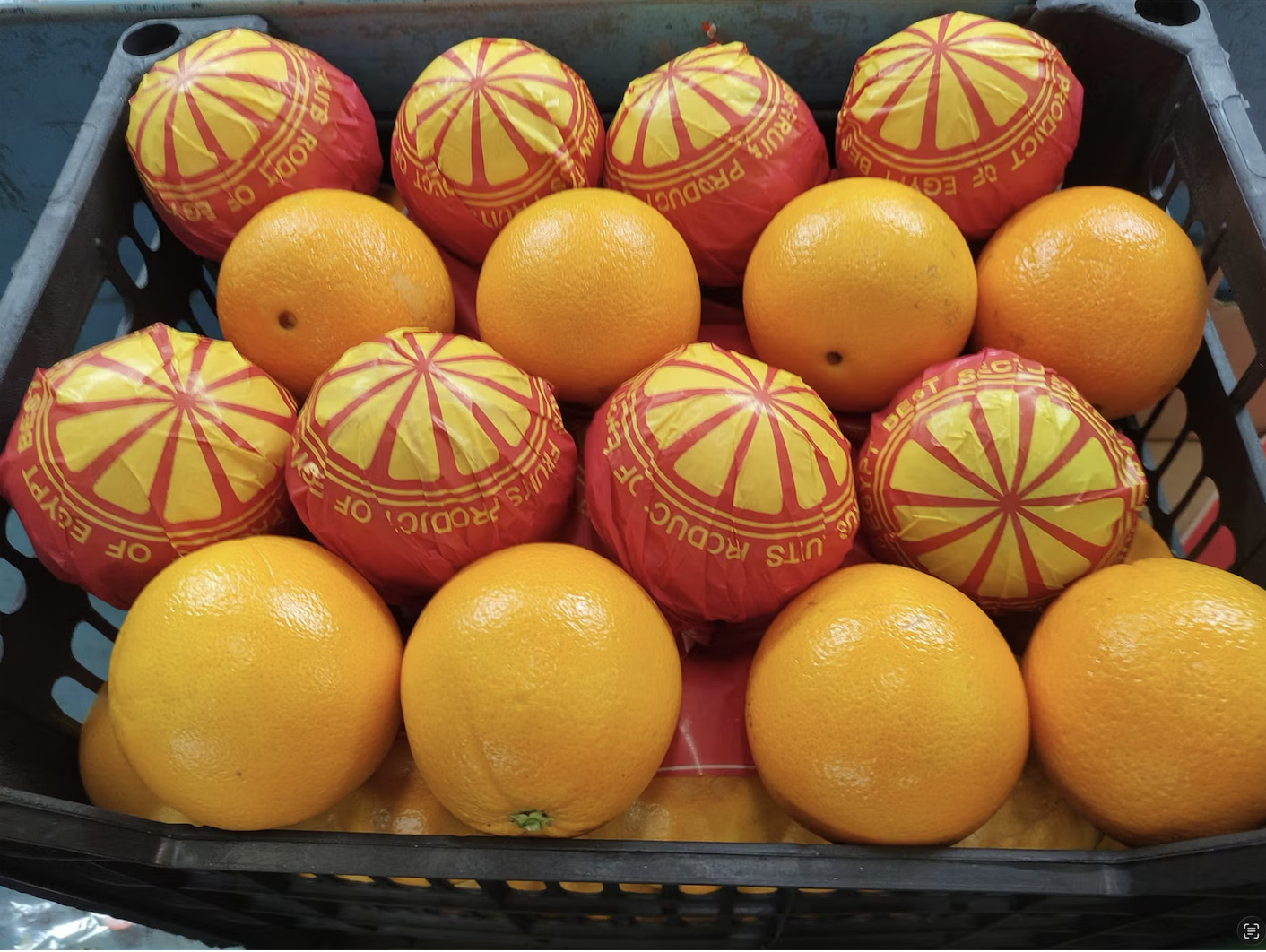 Navel Oranges GreenAgro.png