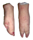 6-PORK-FRONT-FEET-115x140.png