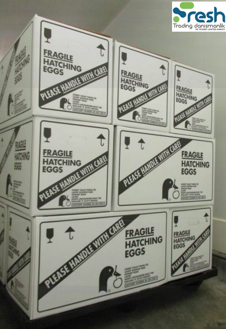 Fresh Table Eggs For Sale.png