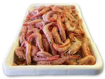 billys-seafood-016-1920w.webp