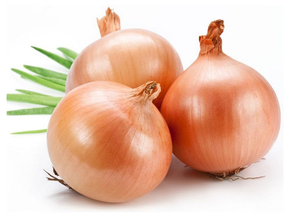 Onion.jpg