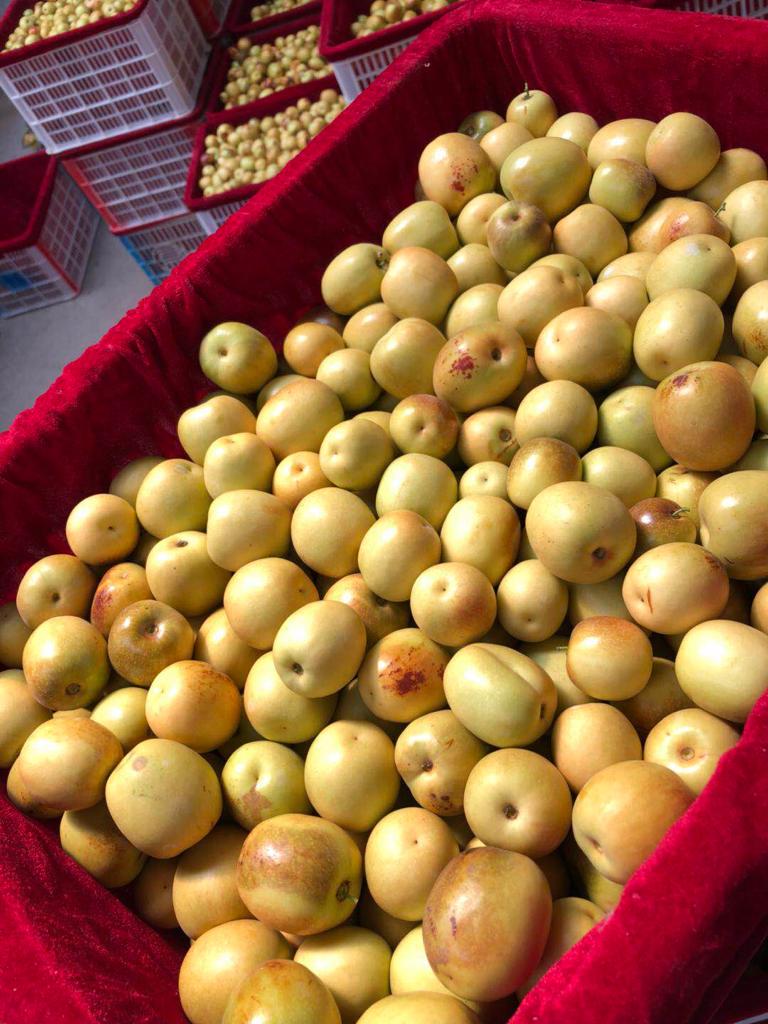 WhatsApp Image 2022-05-13 at 9.31.46 PM (11).jpeg