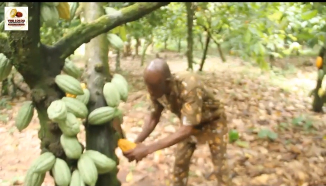 Screenshot_20241022_223405_Video Player.jpg