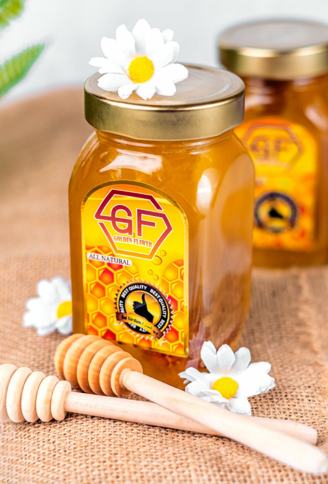 شهد مطربان.jpg