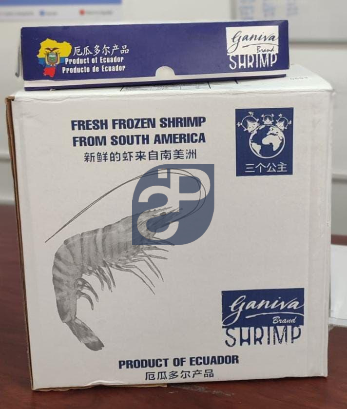 Vannamei Shrimp #2 - Standard & Partners.jpg