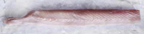 Screen Shot 2021-11-15 at 11.33.38 AM.png