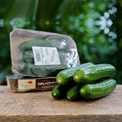 cuucmber.png