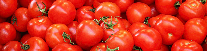 AGRIC. COOP. OF VEGETABLE PROD. KOUNTOURAS
