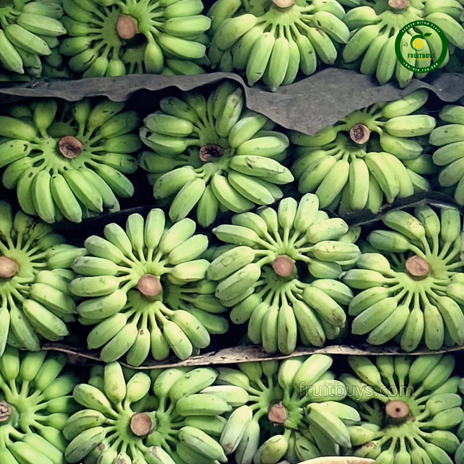 Freeze-Dried Banana Fruit Package- FruitBuys Vietnam (2).jpg