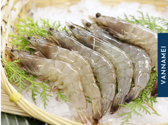 Screenshot 2023-05-03 154651.png