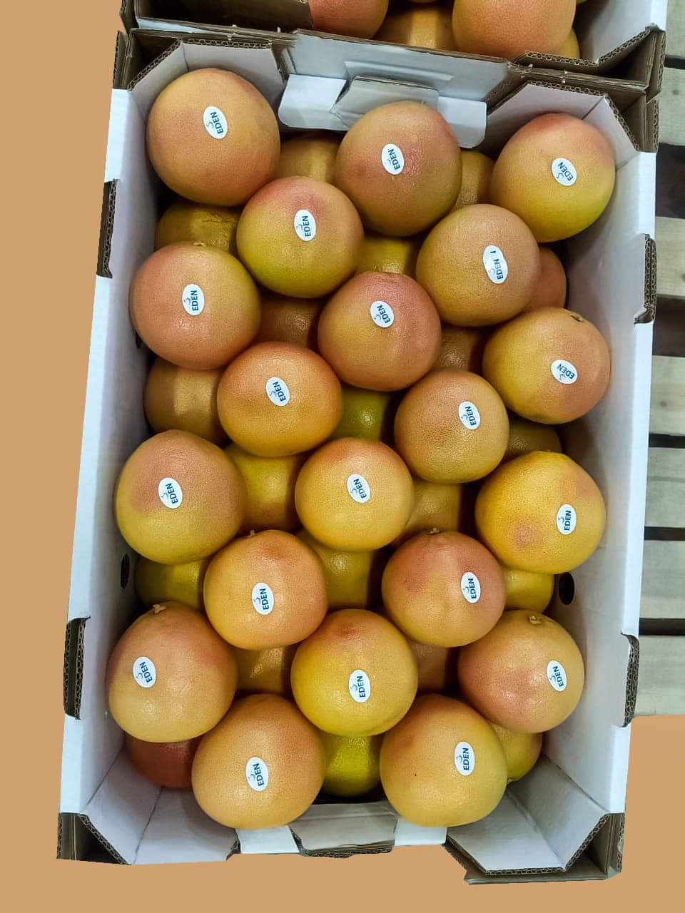 1000076525.jpg