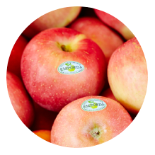 manzana-fuji.png