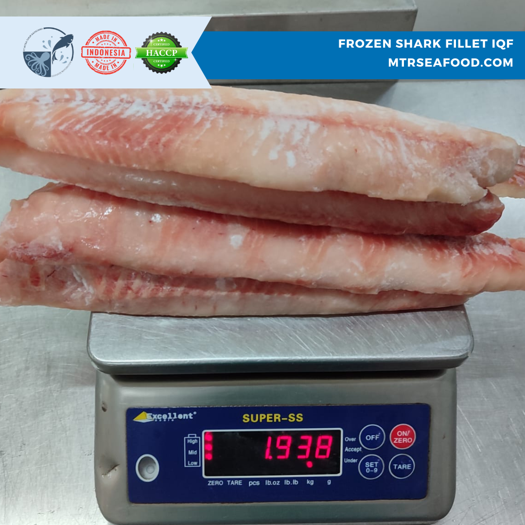 FROZEN SHARK FILLET (2).png
