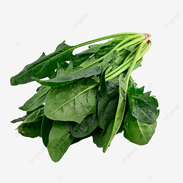 pngtree-spinach-vitamin-diet-plant-png-image_3500764.jpg