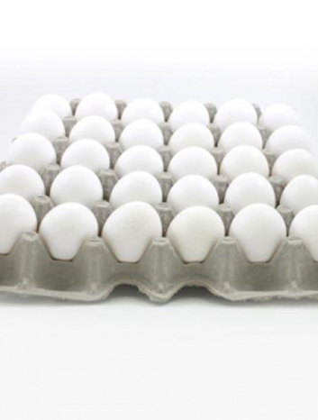 Wight eggs.jpg