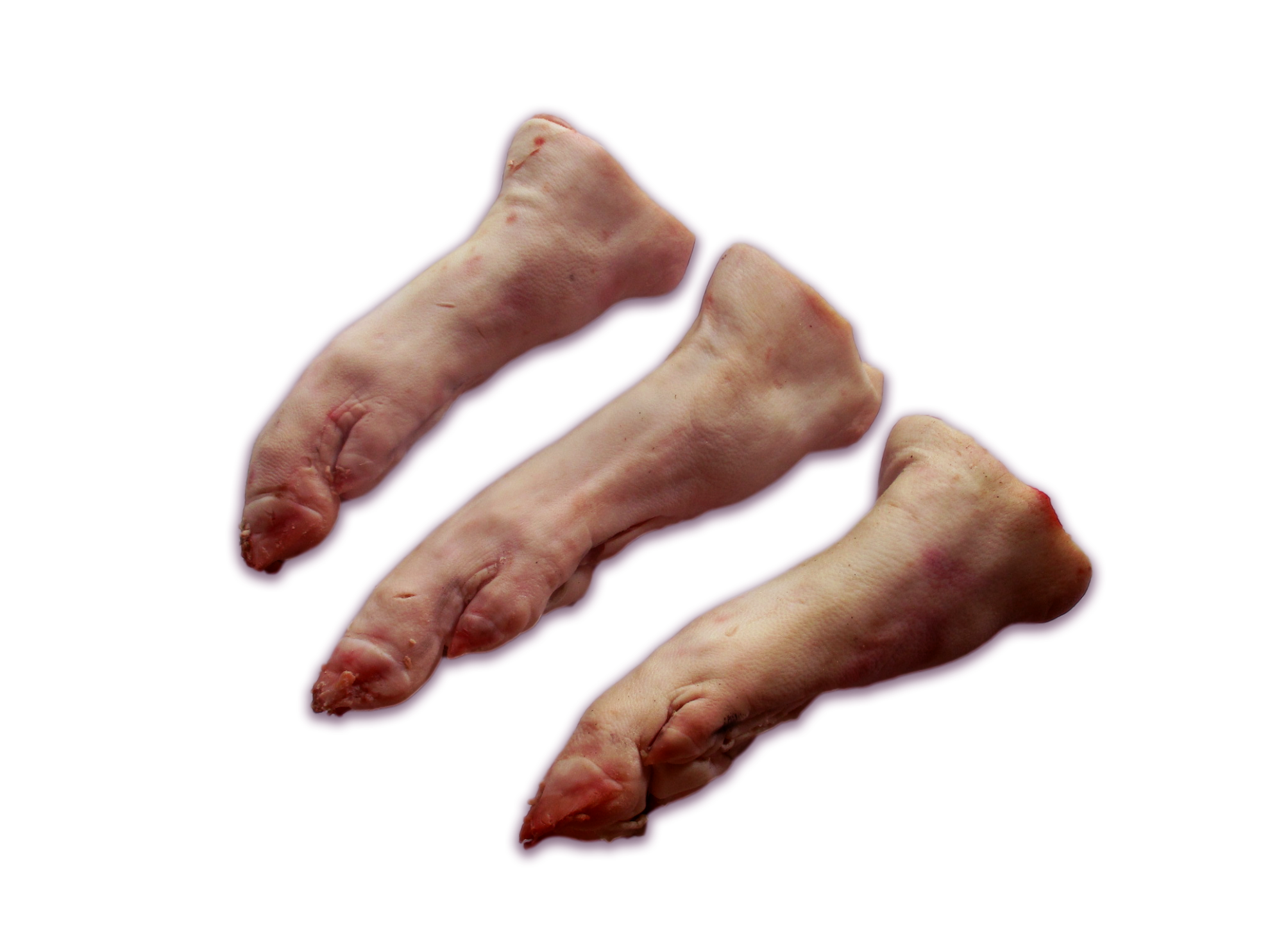 nogi-tylne2-1980x1485.png