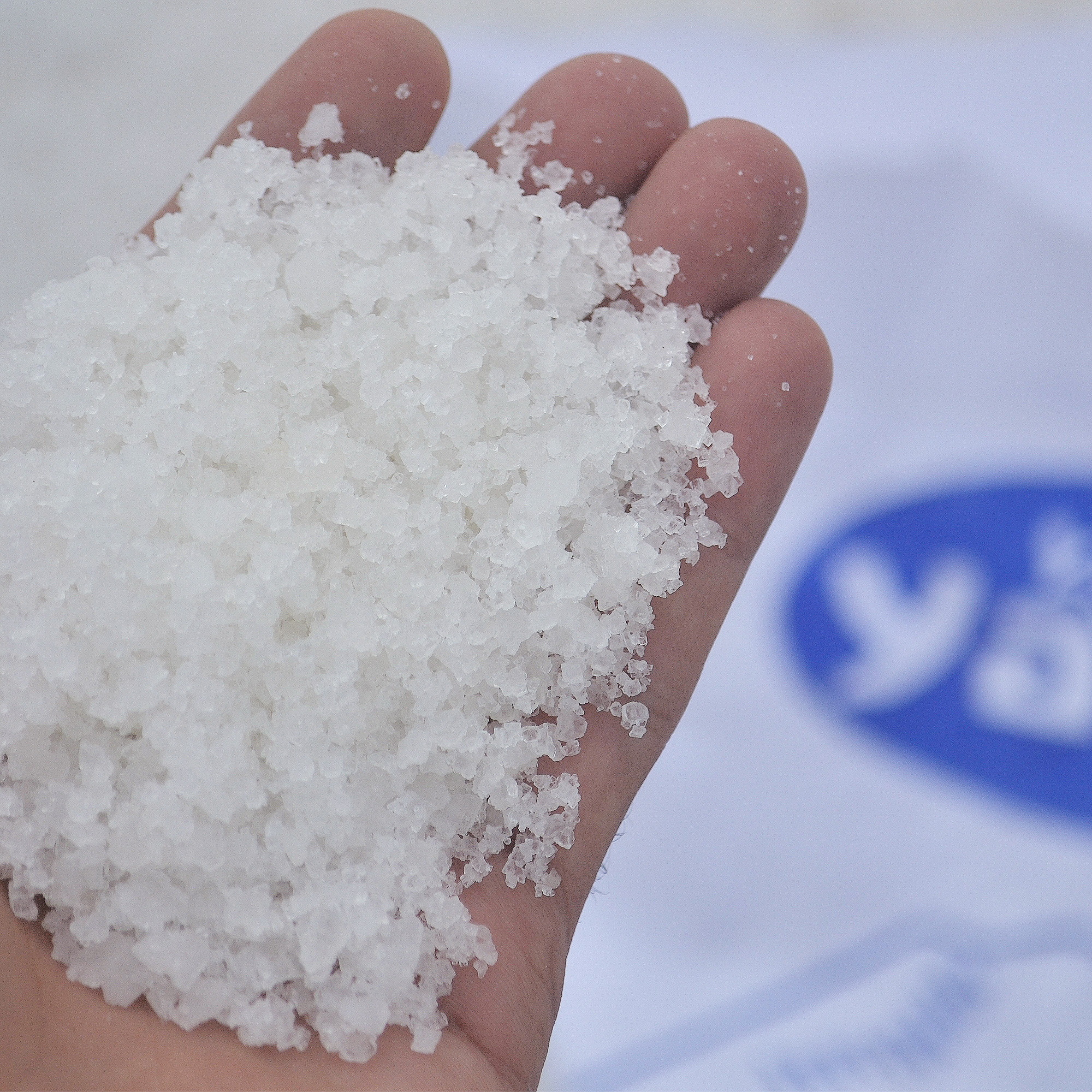 Yamy_Sea-Salt.jpg