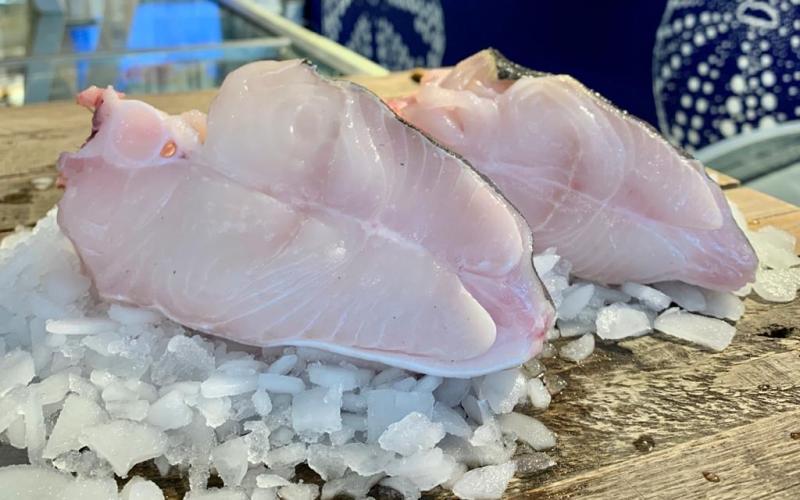 freshideasstarthere-what_s-fresh-halibut-steak.jpg