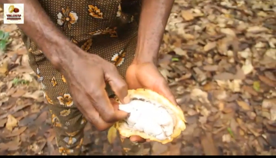 Screenshot_20241022_223428_Video Player.jpg