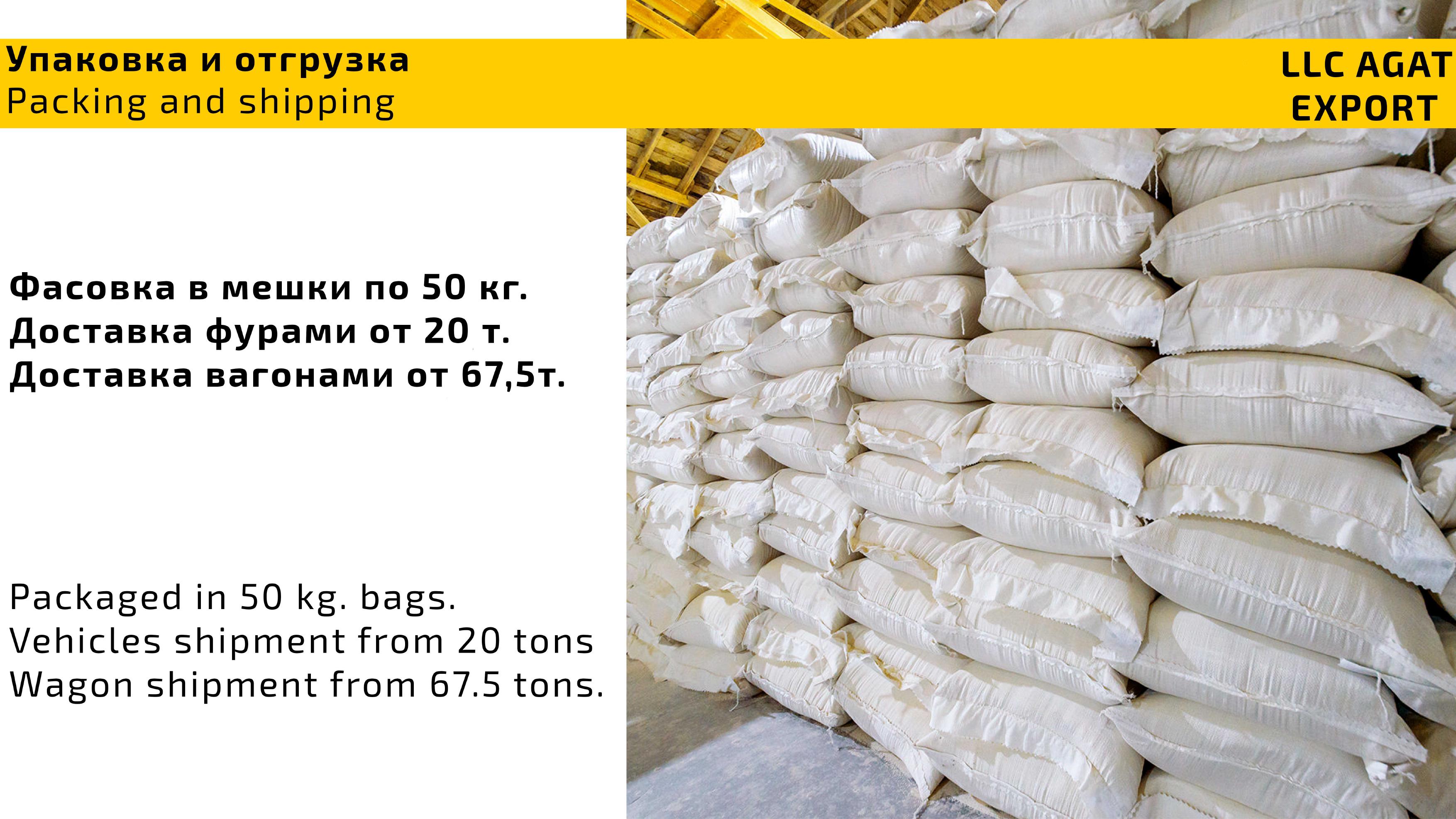 060324 Agat Export Present-изображения-6.jpg